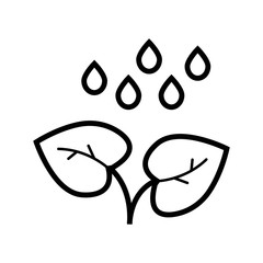 Mint leaf with drop of water