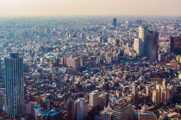 Japan Tokyo 2006 : Aerial view of Tokyo city