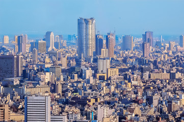 Japan Tokyo 2006 : Aerial view of Tokyo city