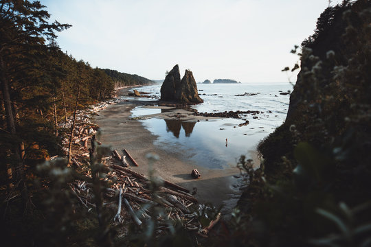 Person auf Strand mit Spiegelung sowie gigantischem Felsen und umgefallenen B&auml;umen im Hintergrund. 