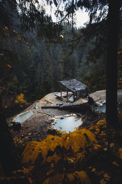 Hei&szlig;e Quelle mit kleiner Holzh&uuml;tte und herbstlaub im Vordergrund sowie Baumst&auml;mmen und  Nebel im Hintergrund