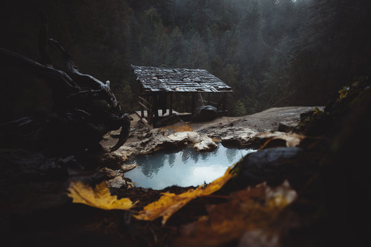 Heiße Quelle mit kleiner Holzhütte und herbstlaub im Vordergrund sowie Baumstämmen und  Nebel im Hintergrund