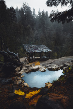 Heiße Quelle mit kleiner Holzhütte und herbstlaub im Vordergrund sowie Baumstämmen und  Nebel im Hintergrund