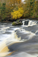 Aysgarth Upper Falls with autumn colours, Yorkshire Dales 