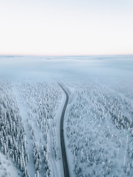 Verschneite Straße umrundet von verschneiten Bäumen endet in tiefer Wolke nach Sonnenuntergang mit pinkem Himmel am Polarkreis. 