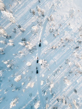 Rentierschlitten aus der Luft umrundet von verschneiten Bäumen und langen Schatten mit goldenem Licht beim Sonnenuntergang am Polarkreis