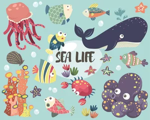 Abwaschbare Fototapete Meeresleben Sea Life Element Collections Set