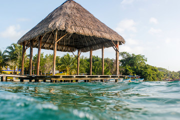 Bacalar