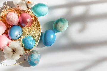 Easter decorations. Painted eggs in sunlight on a white background. Dyed eggs in the nest in the sunshine.