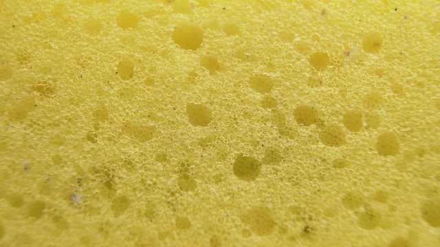 Macro shot of Yellow Sponge Or Memory Foam