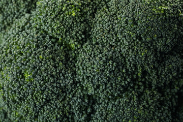 Broccoli on whole background, macro. Fresh vegetable