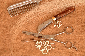 Werkzeug für die Langhaarpflege beim Pferd © lichtreflexe