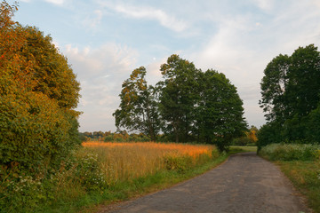 old rustic road in a field at sunset day