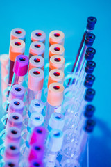 Test tubes. Medical equipment.Test tubes with colorful liquids in holder on table.