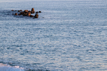 Fototapeta premium Swaying waves