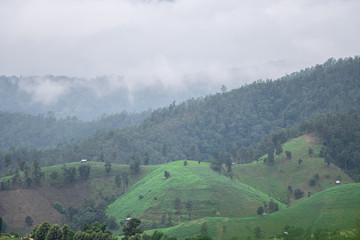 Rice fields beside the mountains in the north of Thailand during the rainy season