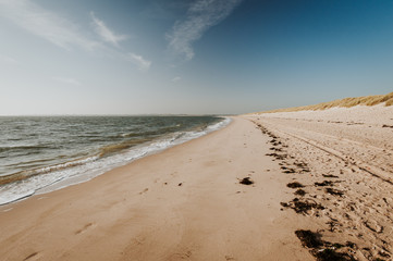 Fototapeta na wymiar North Sea beach at Sylt in Germany at sunny day