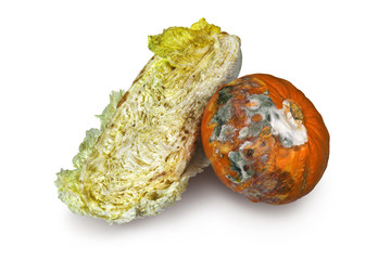 Yellow moldy pumpkin and cabbage isolated on a white background.