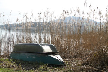 Boat in the reeds of the lake during spring time