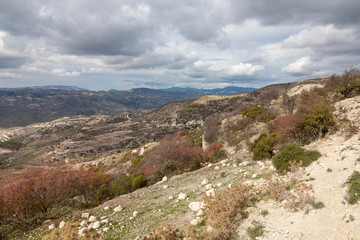 Fototapeta na wymiar Herbst im Troodos-Gebirge, Zypern