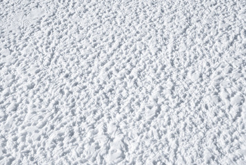 Freshly fallen snow is trampled by paws of birds