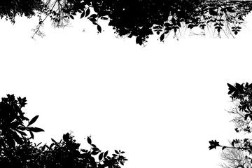 木々のシルエット枠