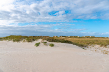 Dune landscape on the beach of St Peter-Ording