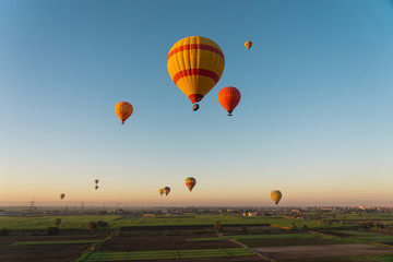 Hot air Balloons above Luxor city in a morning sunrise, Egypt