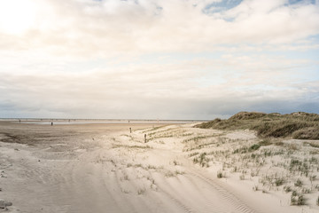Dune landscape on the beach of St Peter-Ording