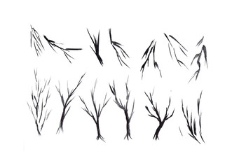 Watercolor branches set isolated on white background. Tree branches in winter season design elements. Monochrome grunge plant design template. Dry branches without leaves.