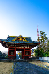 Naklejka premium 寺と東京タワー