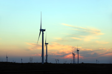 Wind turbines in the evening