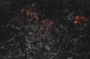 fire on black background