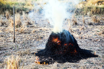 smoke pollution with burning dry grass