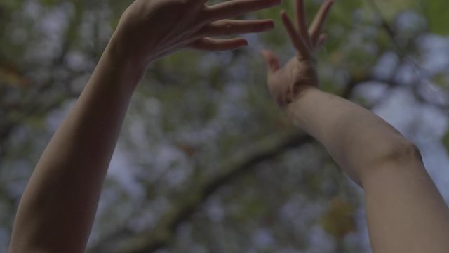 H&auml;nde bewegen sich harmonisch vor Bl&auml;ttern