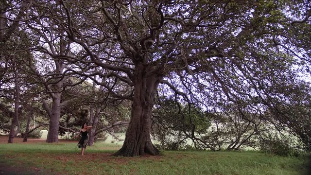 A Barefooted Ballerina Showing A Tour Jet&eacute; And A Grand Jet&eacute; For Finale On The Woods. -wide shot