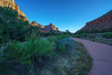 the watchman from parus trail in zion national park, usa