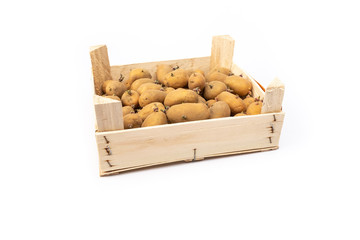 crate of sprouted potato plant ready for planting