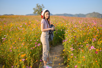 Naklejka na ściany i meble Portrait of young attractive Asian woman wearing Santa hat, travel and visiting cosmos flowers field in Chiang Rai Province of Thailand. Conceptual shot of people tourism and vacation.