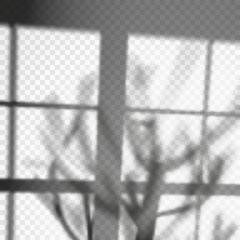 Tree shadow or plant branch overlay on wall