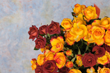 Bouquet and yellow and red bush roses on a blue background.