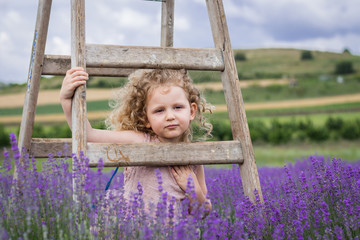 Beautiful little girl playing in lavender