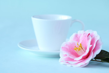 Fototapeta na wymiar ピンクの八重椿とコーヒー