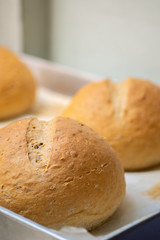 freshly baked bread