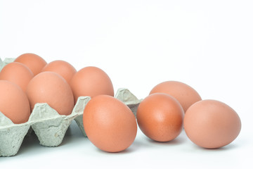 Chicken eggs in box on white background