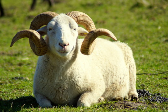 "Ich habe Gute Laune und finde das Leben einfach sch&ouml;n, Du auch?"