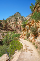 Obraz premium hiking the observation point trail in zion national park, usa