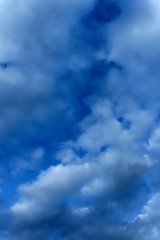 雲