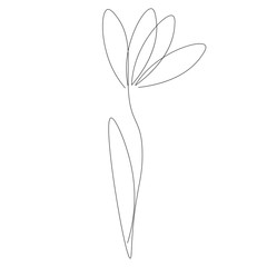 Flower silhouette drawing, vector illustration