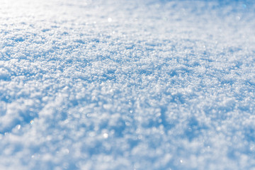 Large snowflakes lie on a snow bank. The concept of weather forecasts and the winter climate